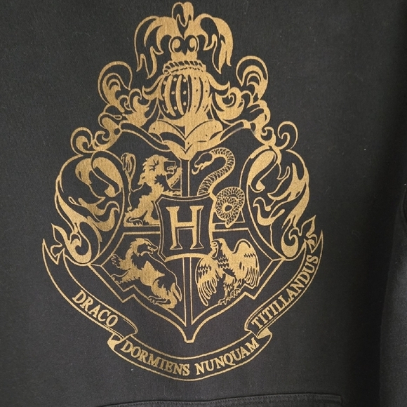 Warner Bros. Black Hoodie with Gold Emblem - Picture 3 of 8